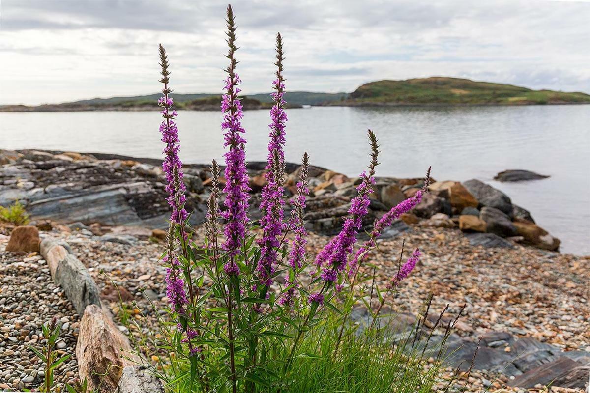 Lunga House Beach Lodges Craobh Haven Kültér fotó